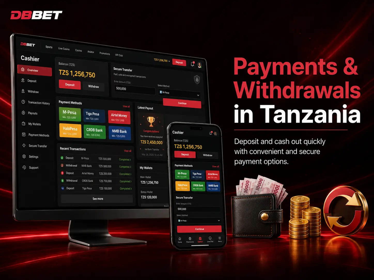 Payments and Withdrawals Dbbet